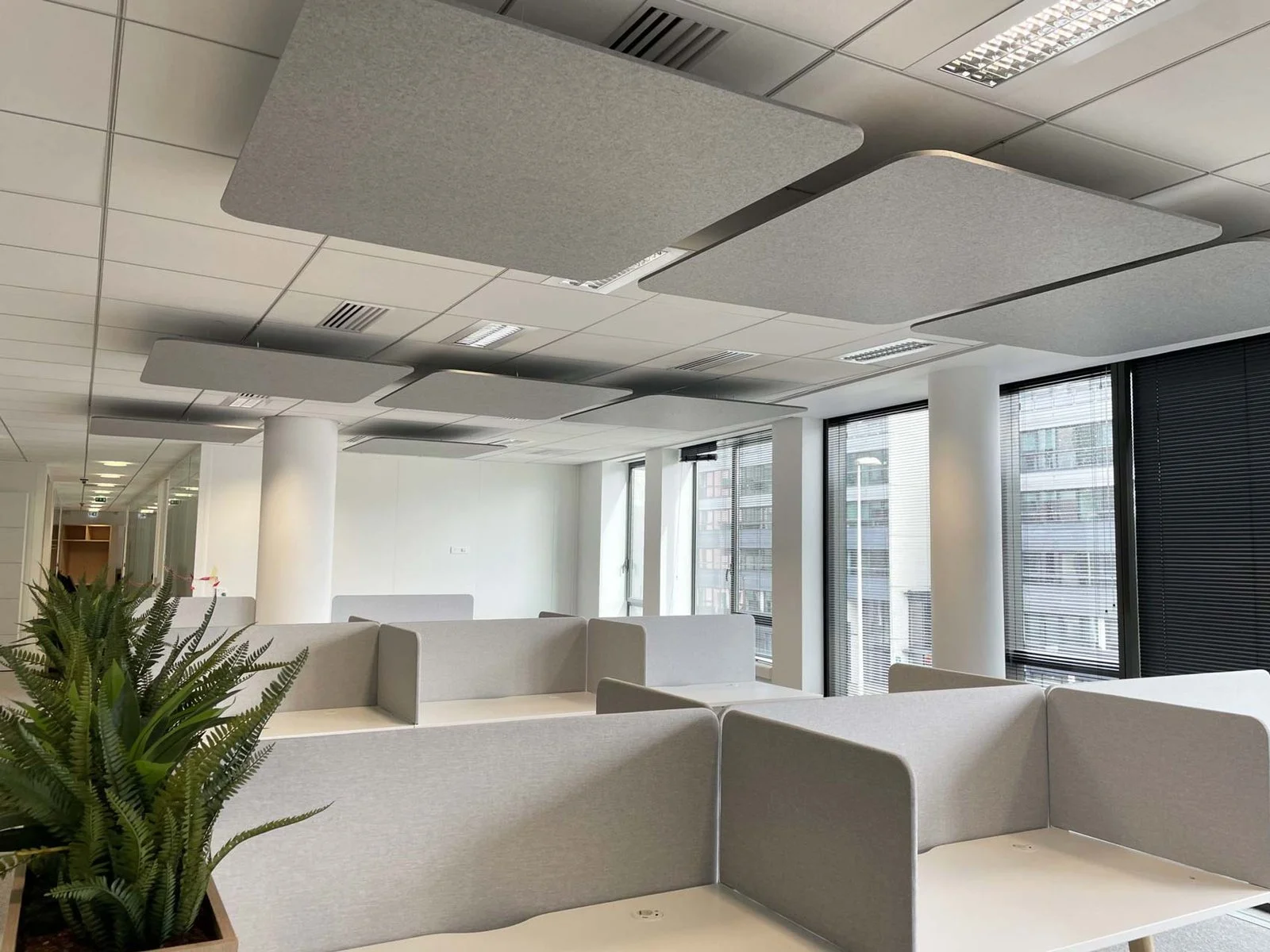 Delaforge Diffusion | solutions acoustiques | séparation acoustique open space